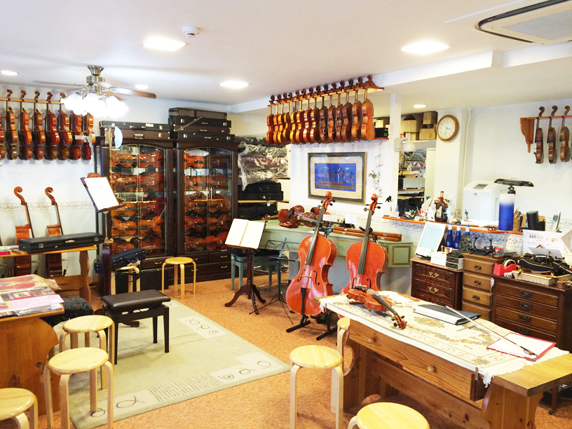 shopinterno.jpg